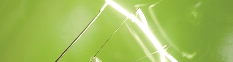 Laborleistungenskatalog - MTM - Micro Trace Minerals Labor - umweltmedizinische Untersuchungen